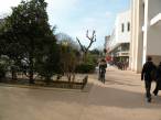  boulevard du Prado